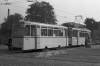 1919